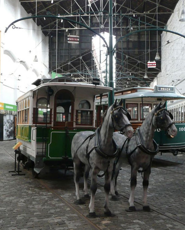 Fado & Tram and Visit Tram Museum in Porto
